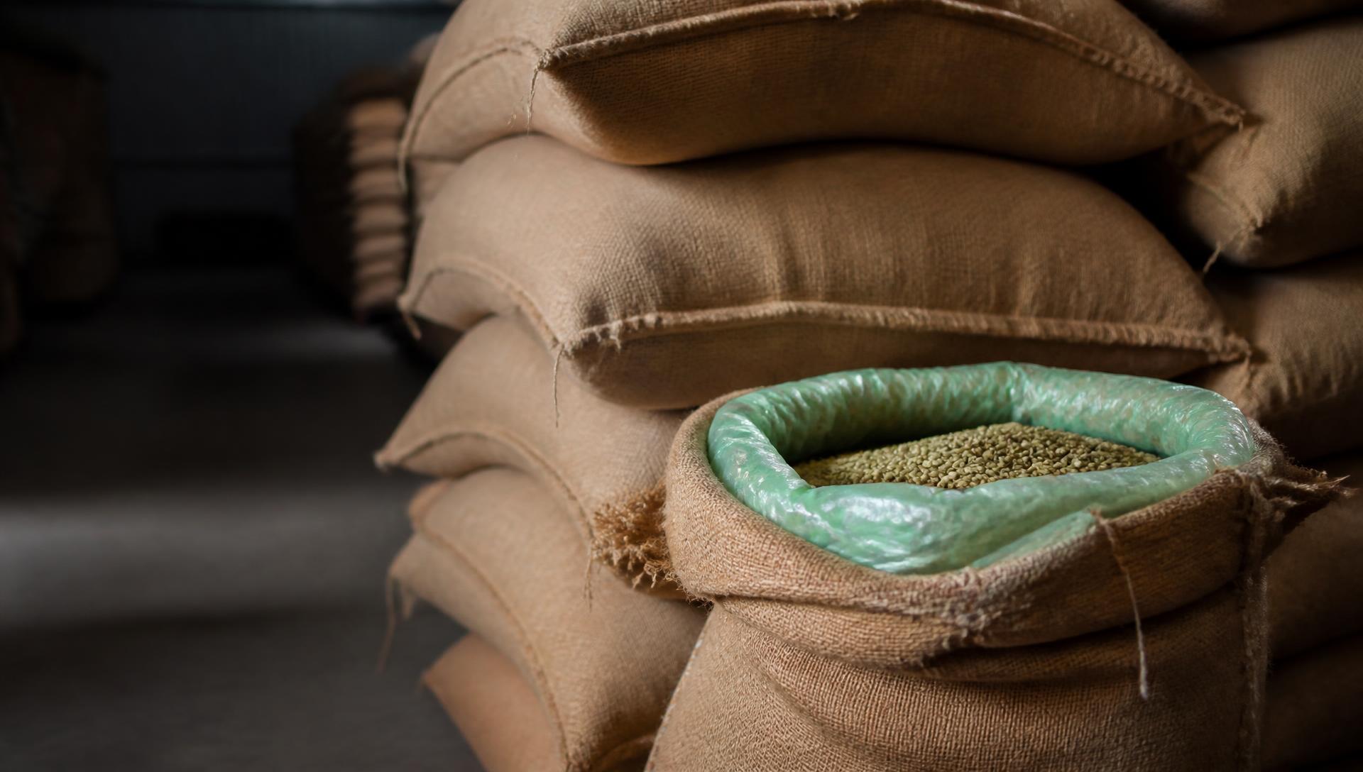 Stacked 60 kg GrainPro-lined jute bags of Kilimanjaro green coffee in an export warehouse